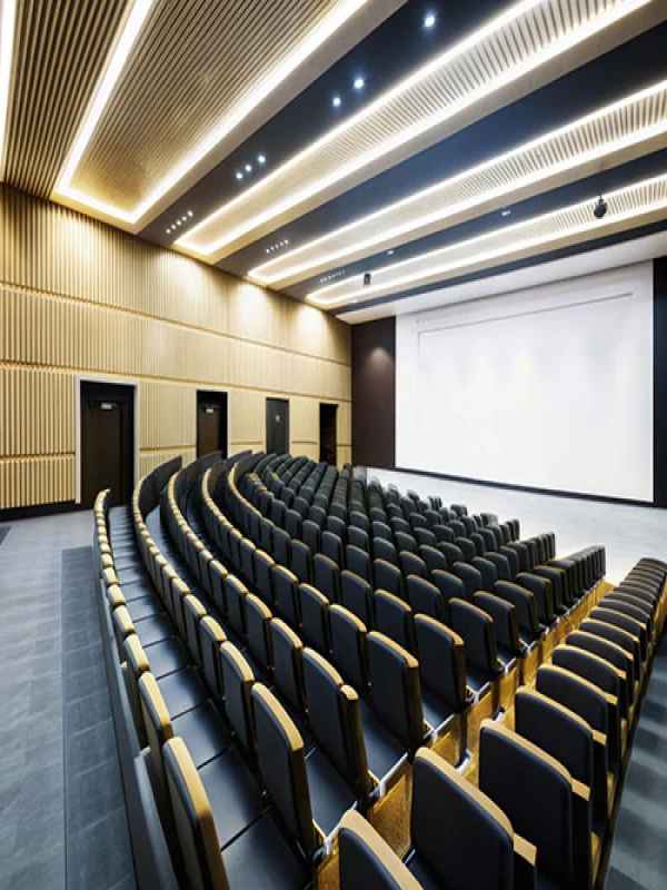 Auditorium, School & Lounge Seating